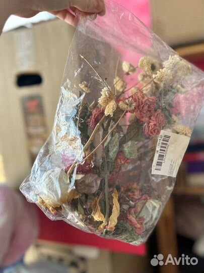 Сухоцветы для творчества розы цветы