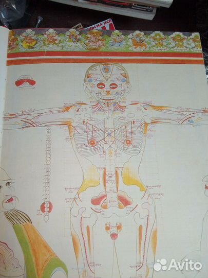 Атлас тибетской медицины