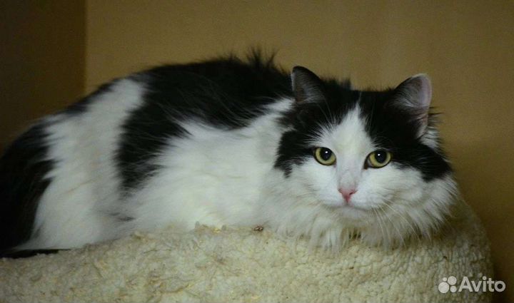 Лайза ищет теплый уголок