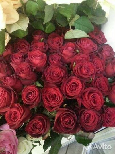 Цветы розы букет