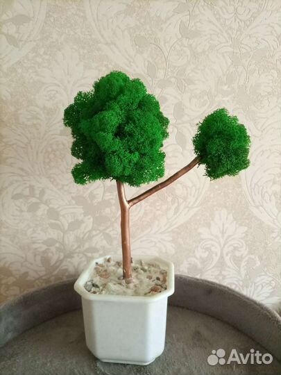 Декоративное дерево