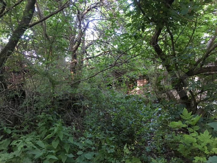 Участок 44 сот. (ИЖС)