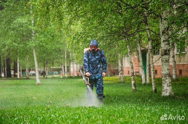 Уничтожение клопов тараканов грызунов блох клещей