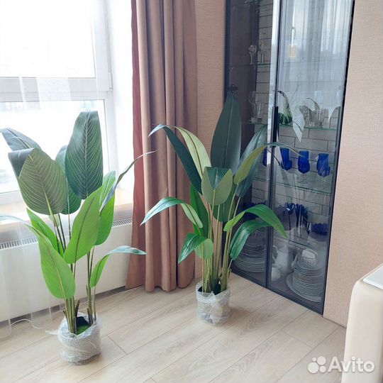 Искусственные растения. Стрелиция