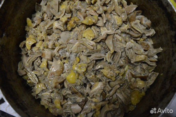 Рубец, книжка, кишки, сычуг