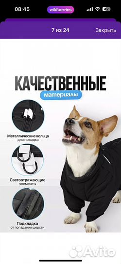 Комбинезон для собаки