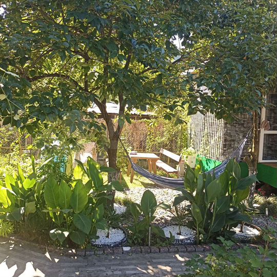 Дом 30 м² на участке 3 сот.