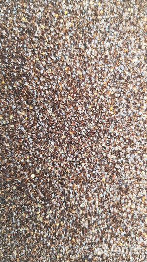 Семена овощей укроп петрушка кинза щавель базилик