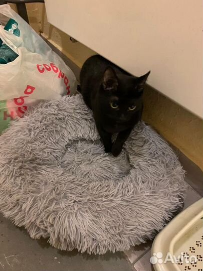 С вещами на выход. Ищу неравнодушных