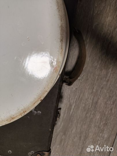 Утка медицинская старинная