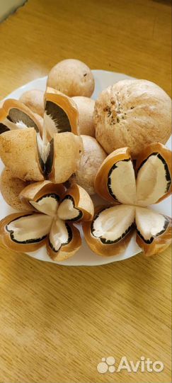 Гриб весёлка доставка