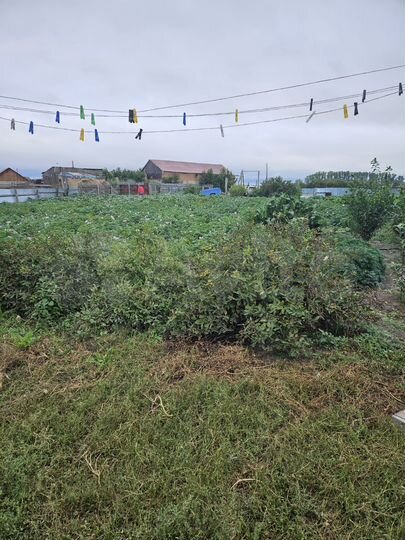 Дом 179,6 м² на участке 16 сот.