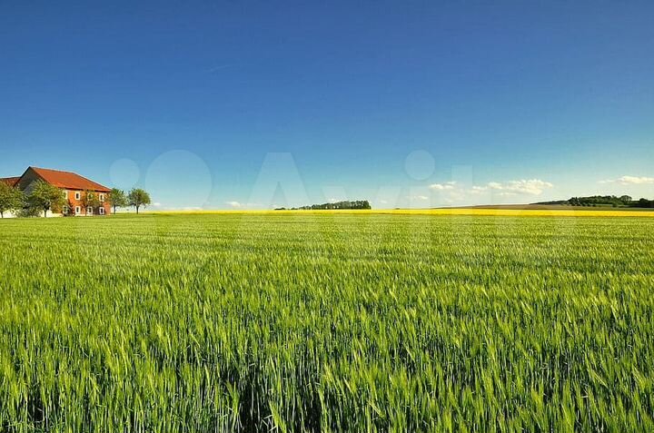 Участок 20 сот. (СНТ, ДНП)