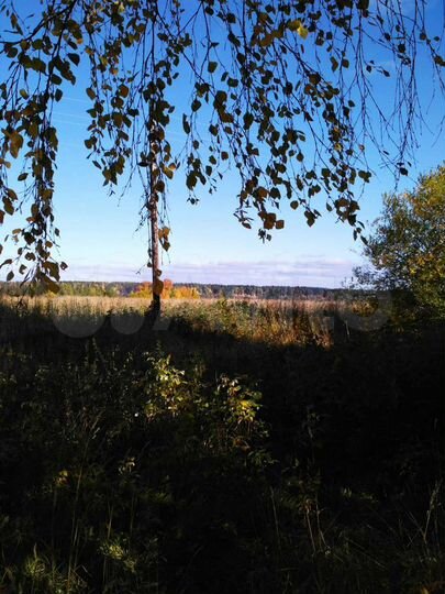 Участок 37,1 сот. (ИЖС)