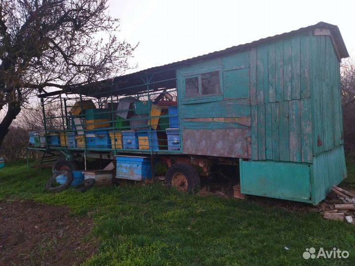 Пчелоприцеп