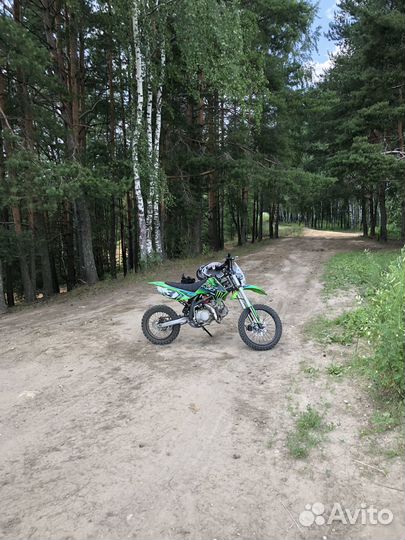Apollo rfz 125
