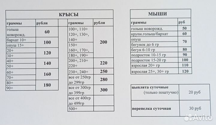 Замороженные кормовые мыши и крысы