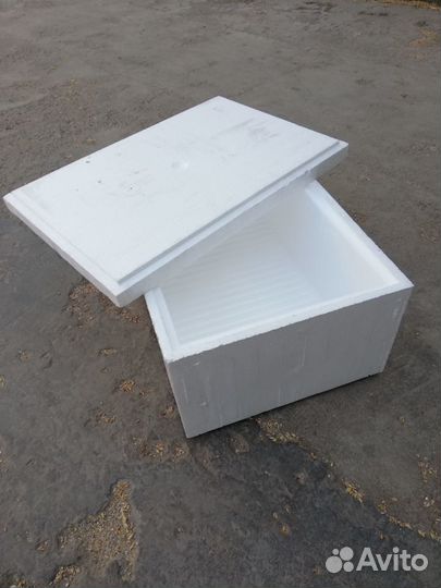 Хобби рыбалка