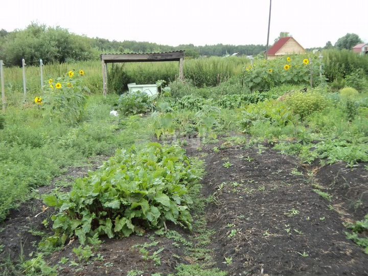 Участок 11,2 сот. (СНТ, ДНП)