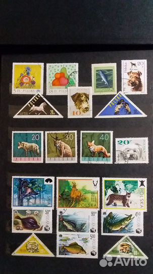 Почтовые марки Польши 