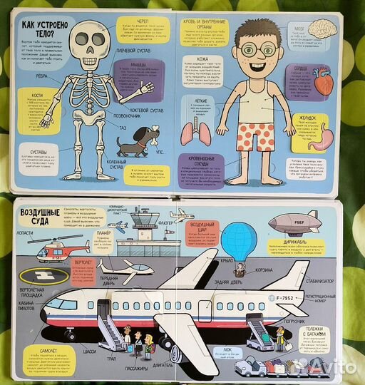 Книги с окошками для детей