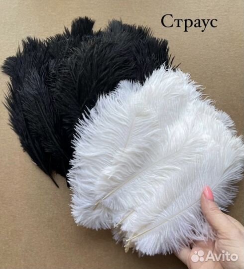 Перья страуса для творчества