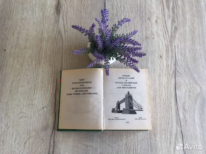 Англо-русский и русско-английский словарь