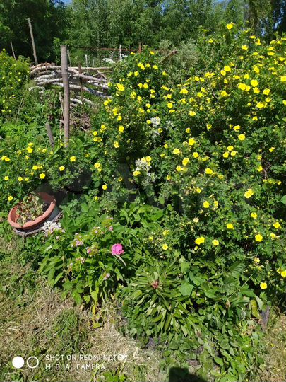 Дом 52 м² на участке 15 сот.