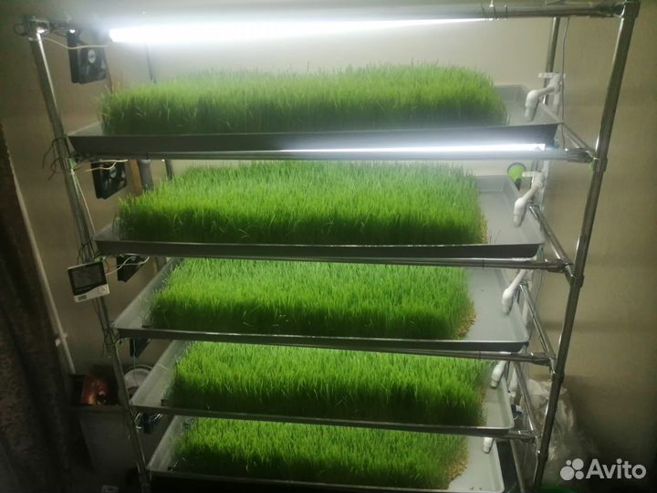 Стеллаж для микрозелени