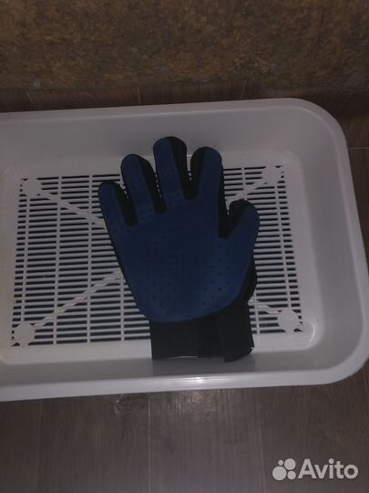 Комплект для кошки