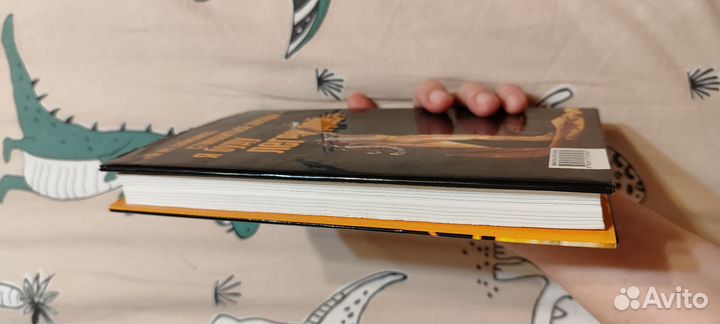 Queen полный путеводитель по музыке