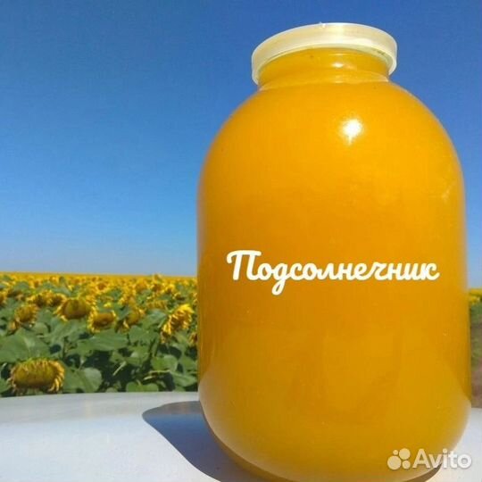 Мёд подсолнечный