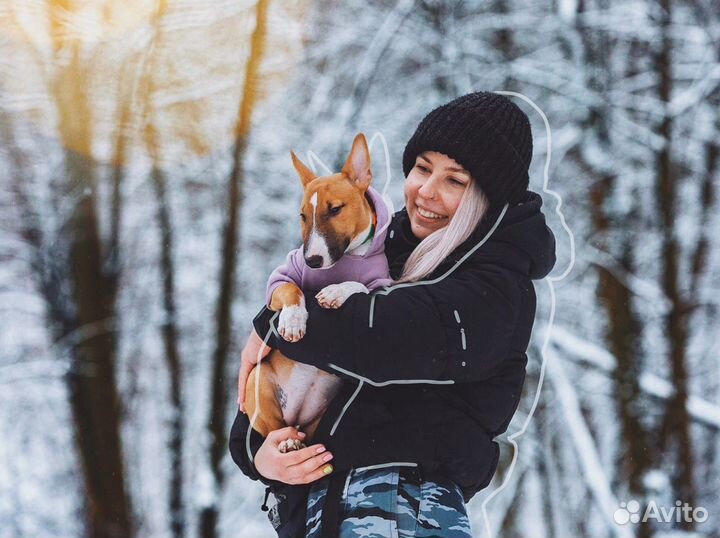 Кинолог Дрессировка Воспитание собак