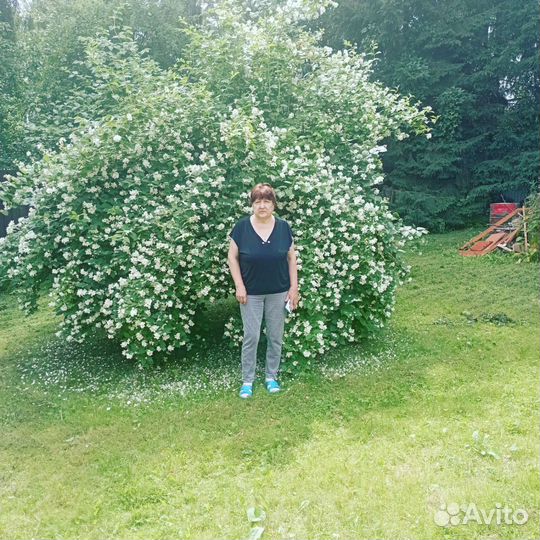 Няня для ребенка