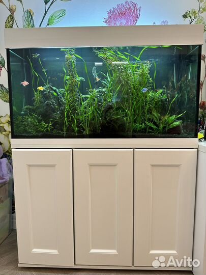 Аквариум