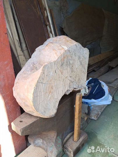 Сувель березовый