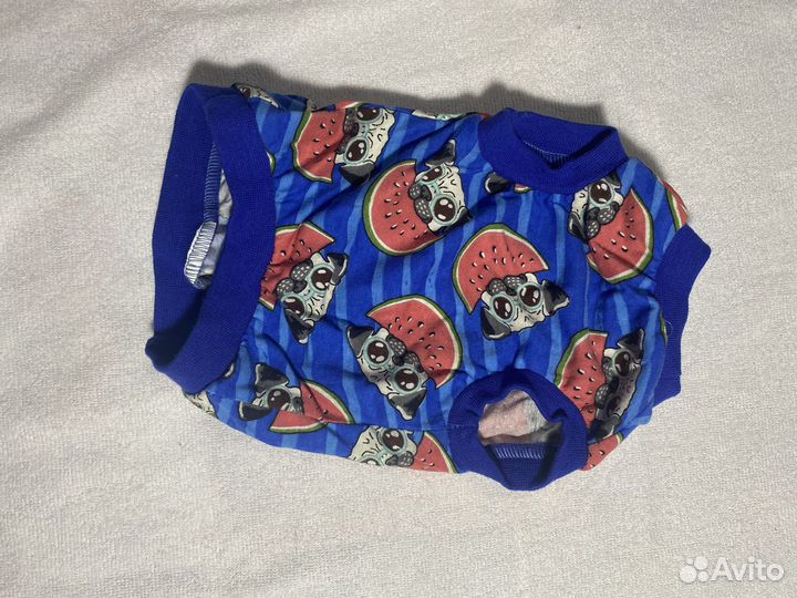 Одежда для собак мелких пород