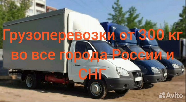 Грузоперевозки