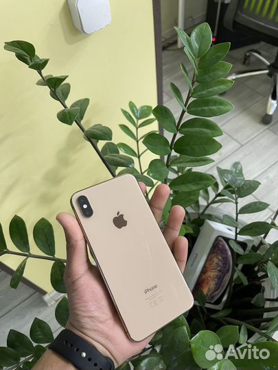 iPhone Xs Max, 512 ГБ