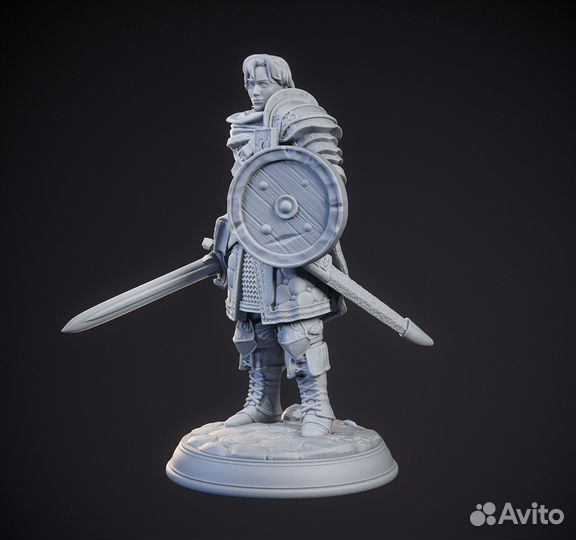 Арион Мидран - Человек-боец для игр DnD