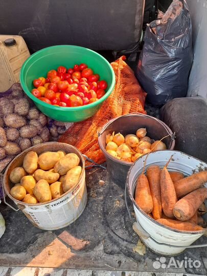 Своя картошка с доставкой