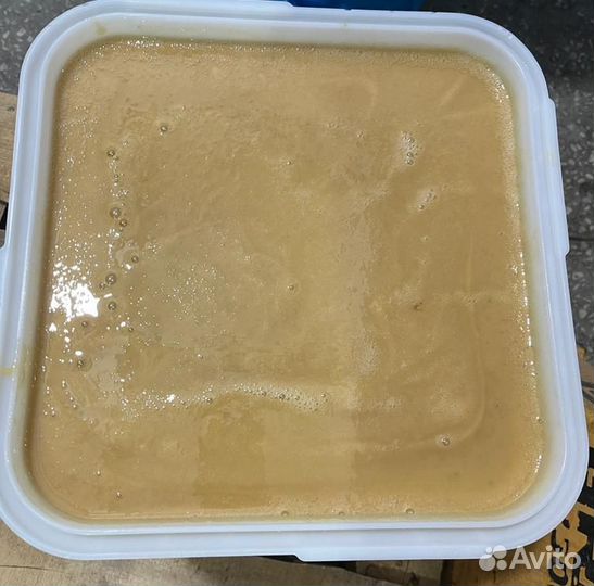 Мёд свежий лесной Качка 2023 год Опт