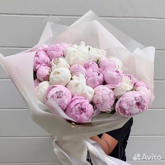 Свежие пионы, цветы от производителя. 24/7