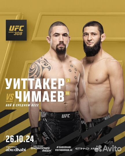 UFC 308 Билеты