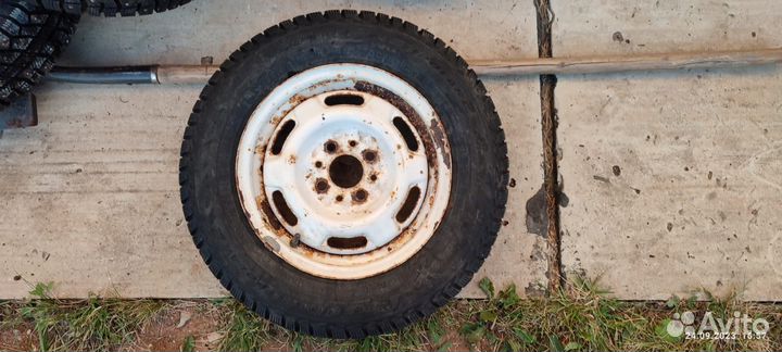 Cordiant Polar 2 175/70 R13