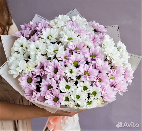 Ромашки розовые и белые №333