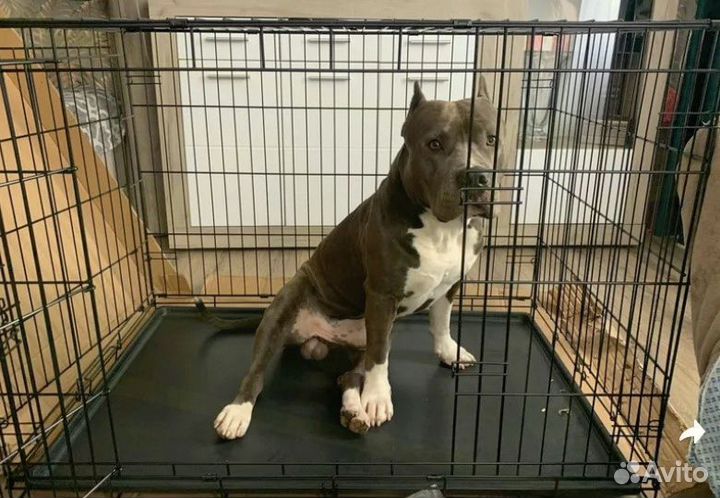 Клетка для животных