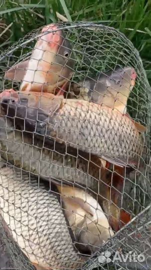 Монастырские Озёра рыбалка и отдых