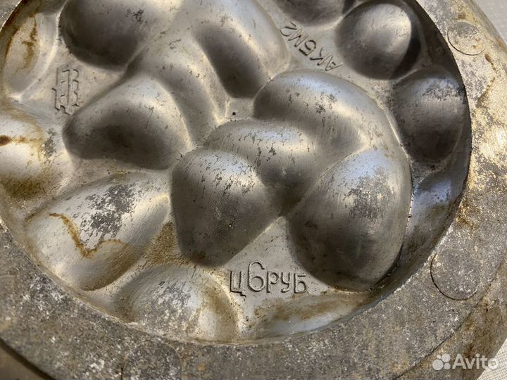 Орешница СССР, белочки