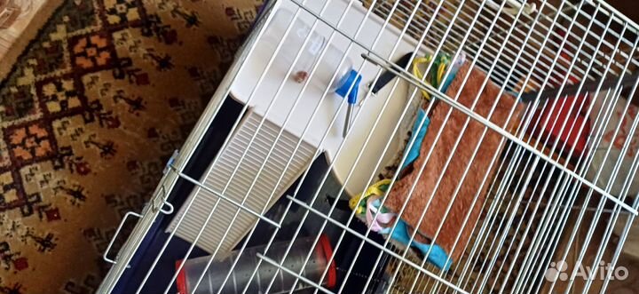 Клетка для хорьков/шиншил/кроликов/свинок